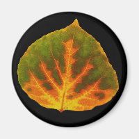 Grünes Orange und gelbes Aspen Leaf #1