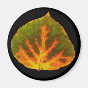 Grünes Orange und gelbes Aspen Leaf #1 Magnet