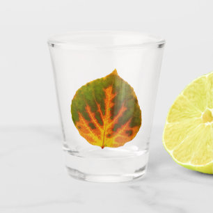 Grünes Orange und gelbes Aspen Leaf #1 Schnapsglas