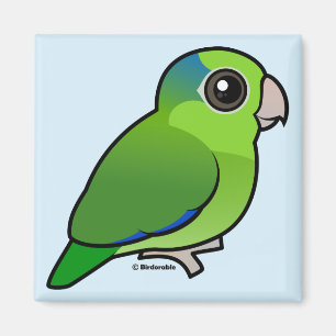 Grünes pazifisches Parrotlet Magnet