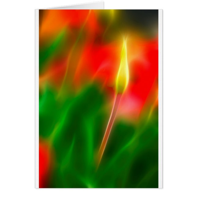 Grünes, rotes und gelbes Tulpe-Glühen (Vorne)