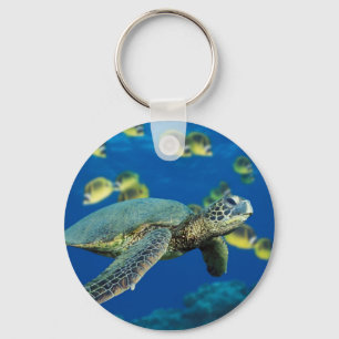 Grünes Seeschildkröte-Schlüsselanhänger Schlüsselanhänger