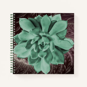 Grünes sukkuläres Echeveria Apus Closeup-Foto Notizbuch