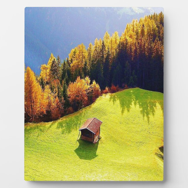 Grünes Tal Fotoplatte (Vorderseite)