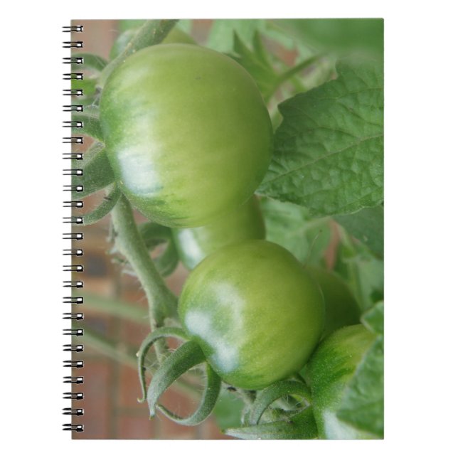 Grünes Tomaten-Notebook Notizblock (Vorderseite)