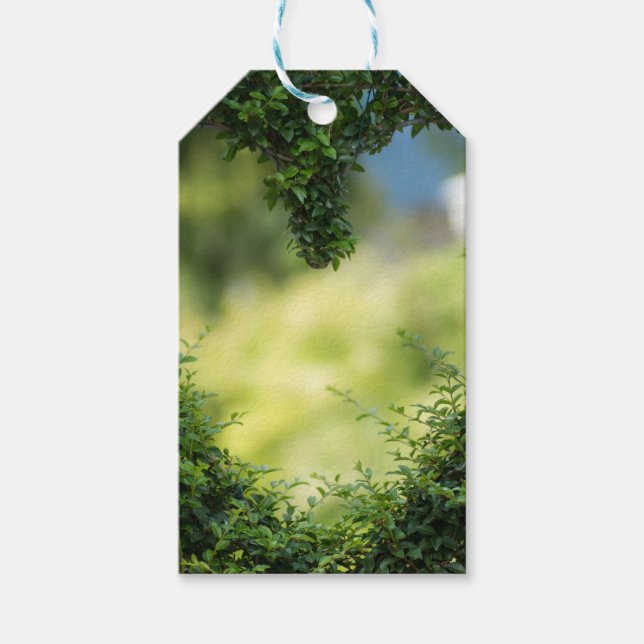 Grünes Topiary Heart Geschenkanhänger (Vorderseite)