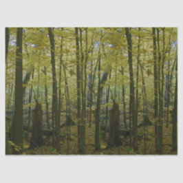 Grünes und schwarzes Baumwollpapier Seidenpapier