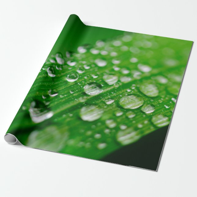 Grünes Wasserblatt Geschenkpapier (Ungerollt)