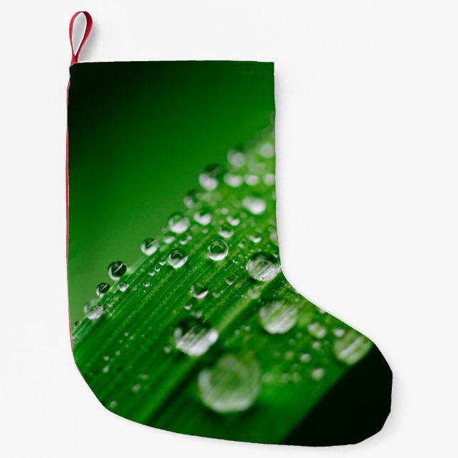 Grünes Wasserblatt Kleiner Weihnachtsstrumpf (Vorderseite)