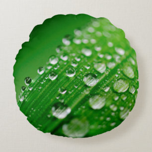 Grünes Wasserblatt Rundes Kissen