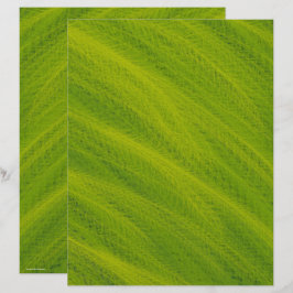 Grünes Weizenfeld Scrapbook Papier 2-seitige Seite
