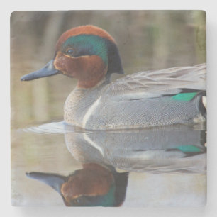 Grünflügelige Aquamarin Steinuntersetzer
