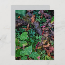 Grünfolie Einladung