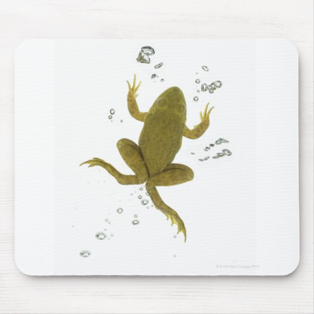 Grünfrosch Mousepad (Vorne)