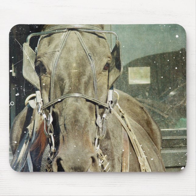 Grunge Amish Buggy Horse Mousepad (Vorne)