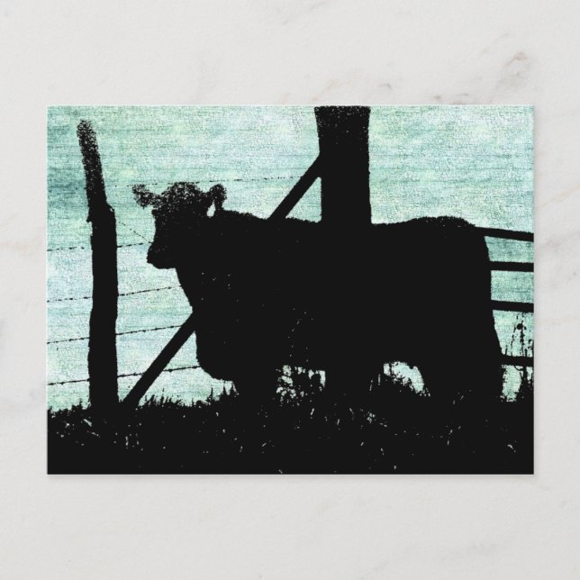 Grunge Cow Silhouette Postkarte (Vorderseite)