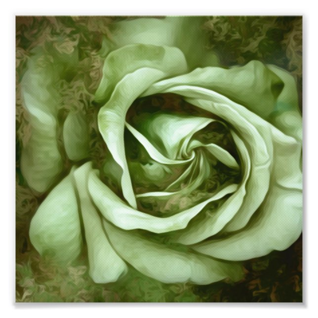 Grunge Texture Painted Rose Foto Print (Vorne)