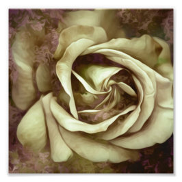 Grunge Texture Painted Rose Foto Print