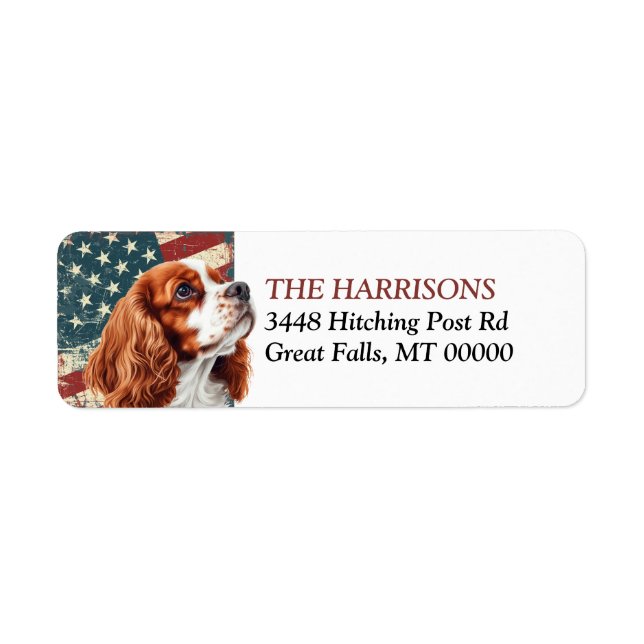 Grunge USA Flag Spaniel Return Address (Vorne)