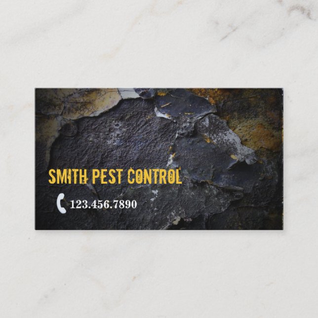 Grunge Wall Texture Pest Control Business Card Visitenkarte (Vorderseite)