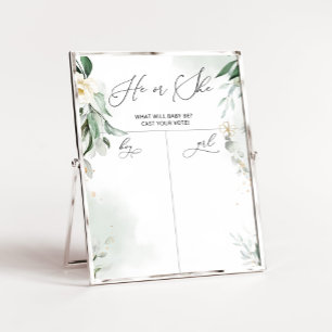 Grüngeschlecht enthüllt Kartographie von Jungen od Poster