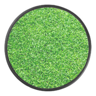 Grüngras Eishockey Puck