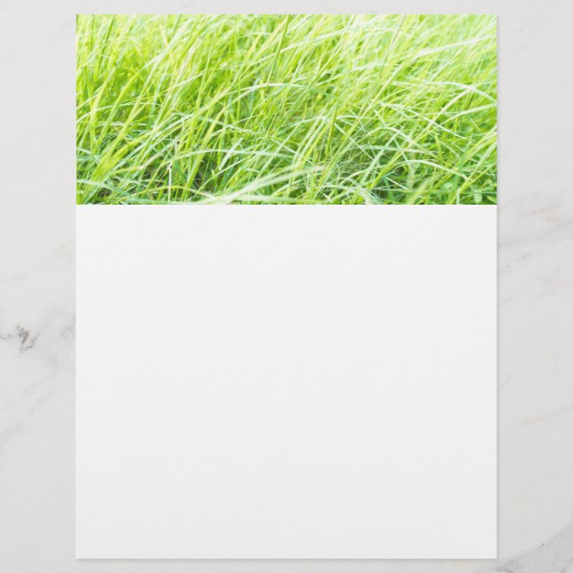Grüngras Flyer (Vorne)