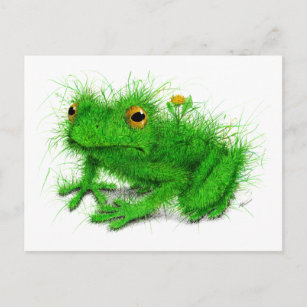 Grüngras-Frosch-Kunst Postkarte