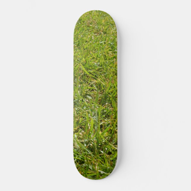 Grüngras, Gärtner, Skateboard (Vorderseite)