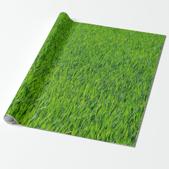 Grüngras Geschenkpapier (Ungerollt)