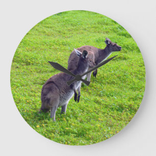 Grüngras Kangaroos, Wall Clock Große Wanduhr
