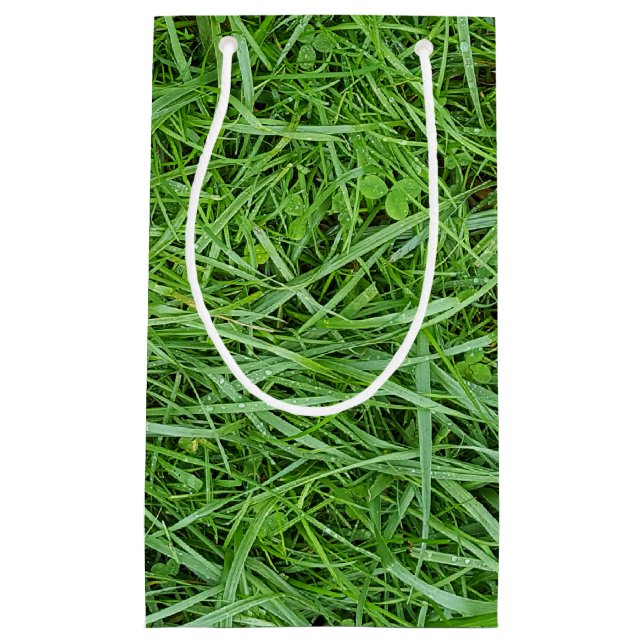 Grüngras Kleine Geschenktüte (Vorderseite)
