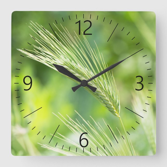 Grüngras Quadratische Wanduhr (Vorderseite)