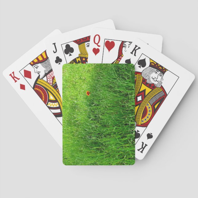 Grüngras Spielkarten (Rückseite)