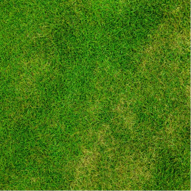 Grüngrasstruktur Freistehende Fotoskulptur (Vorne)