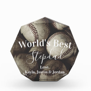 Grungy Baseballs World's Best Stepdad Foto Block