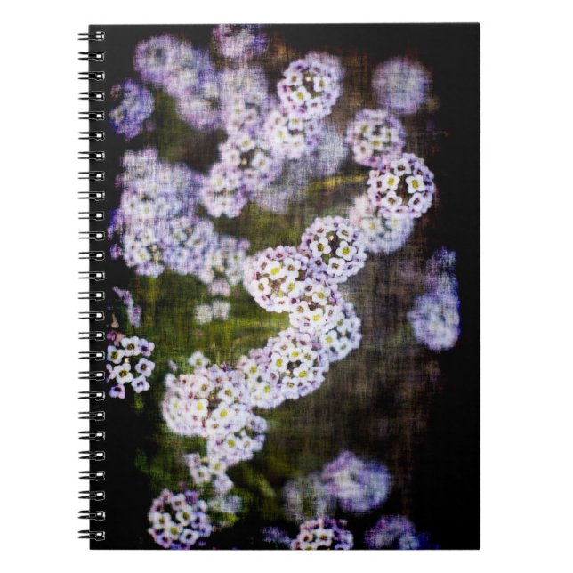 Grungy Sweet Alyssum Notizblock (Vorderseite)