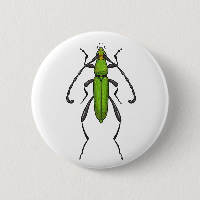 Grünkäfer Button (Vorderseite)