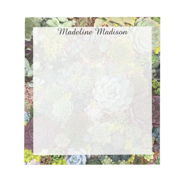 Grünpflanzen Succulents Notizblock (Vorderseite)