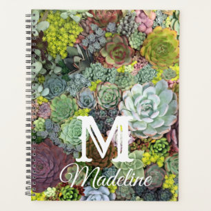 Grünpflanzen Succulents Planer