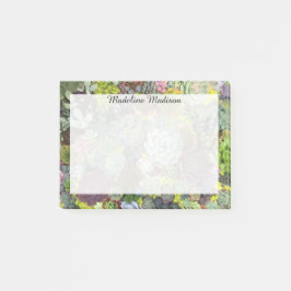 Grünpflanzen Succulents Post-it Klebezettel