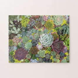 Grünpflanzen Succulents Puzzle