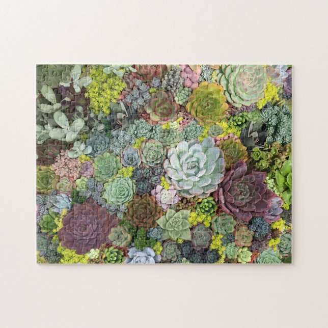 Grünpflanzen Succulents Puzzle (Horizontal)