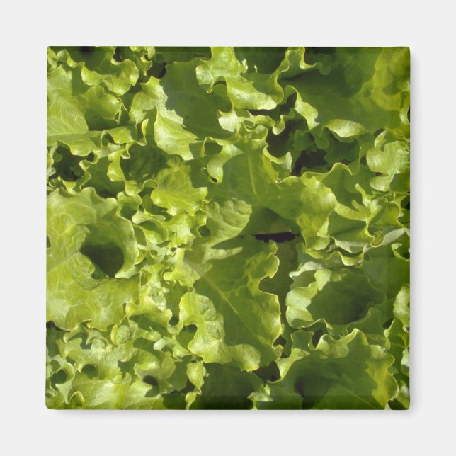 Grünsalat Magnet (Vorne)
