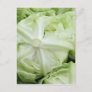 Grünsalat Postkarte