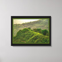 Grünwald auf dem Hügel