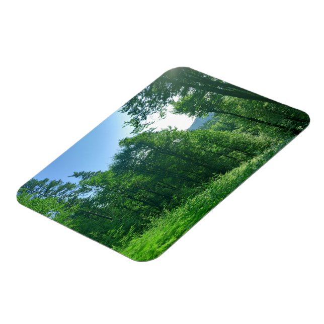 Grünwaldlandschaftsfotografie Magnet (Linke Seite)