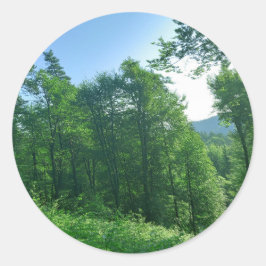 Grünwaldlandschaftsfotografie Runder Aufkleber