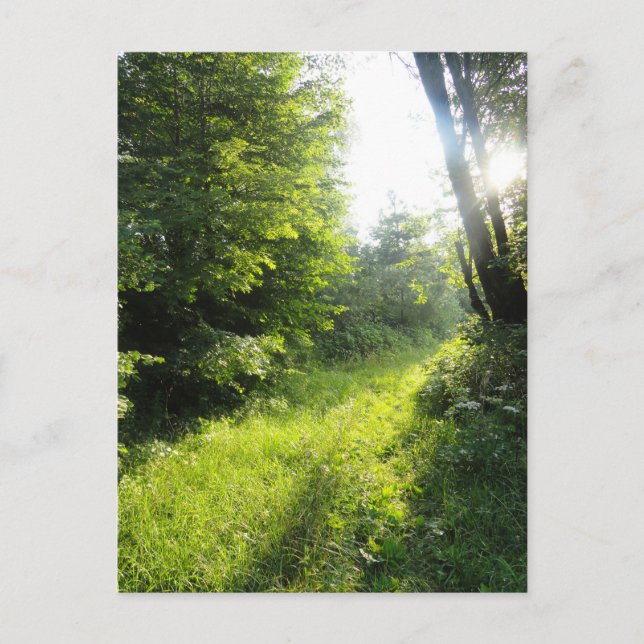 Grünwaldwiese Postkarte (Vorderseite)