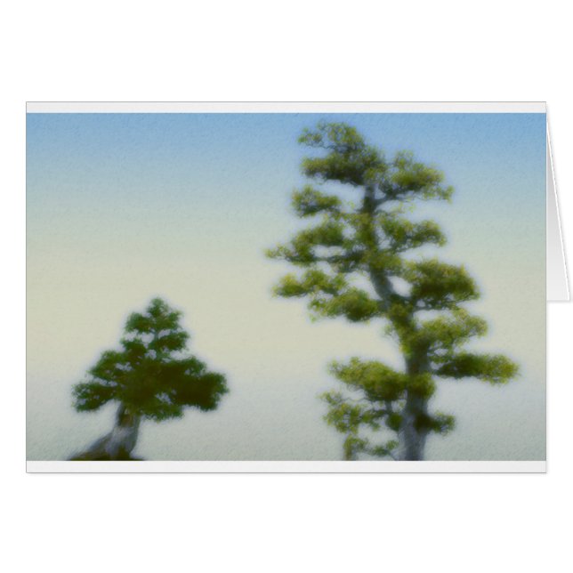 Gruppe Bonsais-Kiefer (Vorderseite (Horizontal))